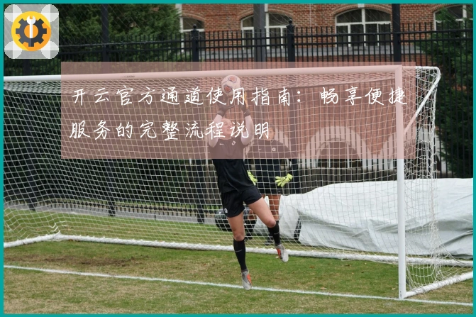 开云官方通道使用指南：畅享便捷服务的完整流程说明