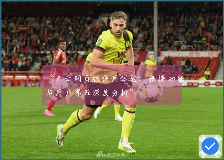 “开云网页版使用体验：便捷功能与用户界面深度分析”